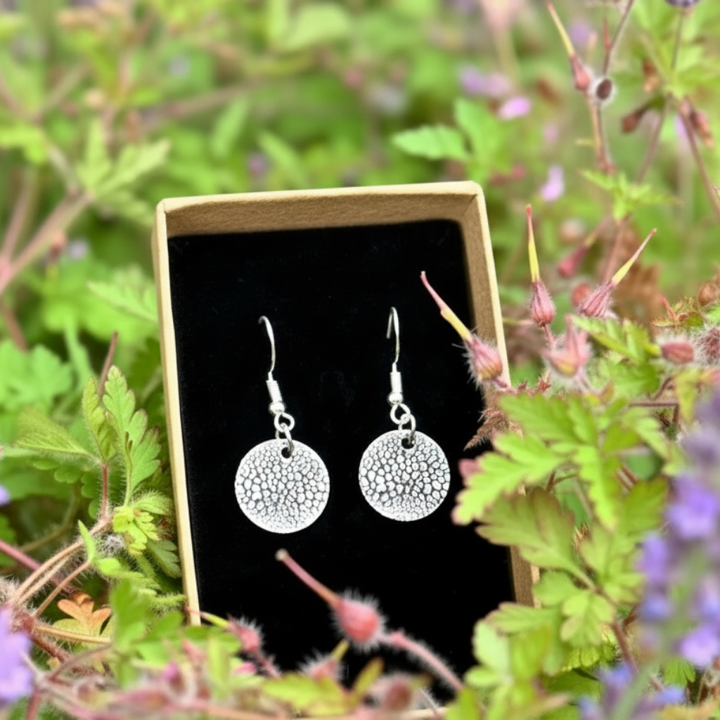 Dog nose print earring in a brown box surrounded with green leaves. 